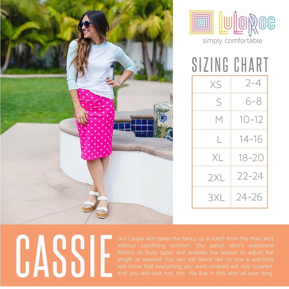 Cassie LuLaRoe Chevron Patterned Pink and Blue pencil Skirt - Picture 4 of 5